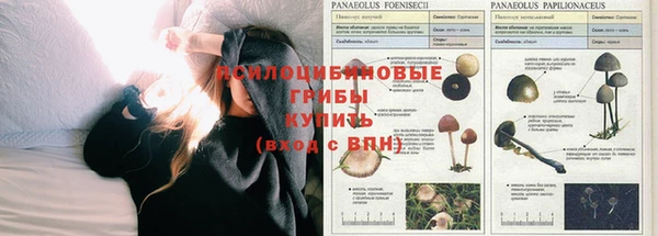 ALPHA PVP Абаза