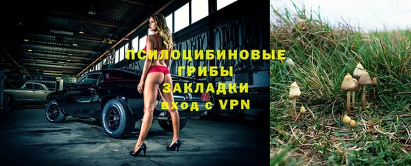 твердый Абдулино