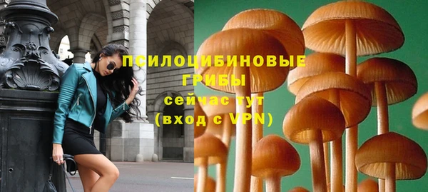 твердый Абдулино