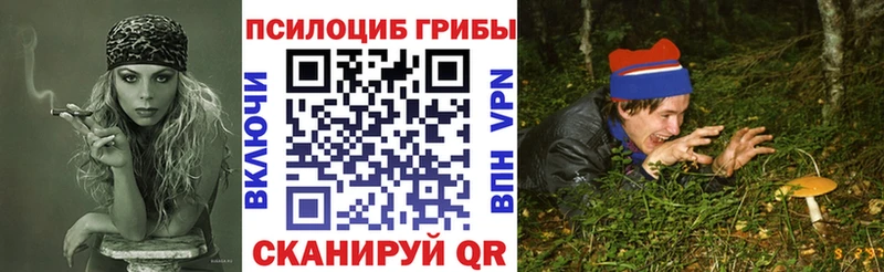 Псилоцибиновые грибы Cubensis  Юрюзань 
